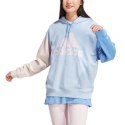 Bluza damska adidas Essentials Big Logo Oversized French Terry Hoodie IC9870