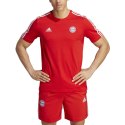 Koszulka męska adidas FC Bayern Tee czerwona HY3280