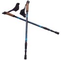 Kijki Nordic Walking Scout Bjorn niebieskie 3cz